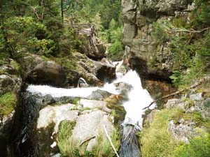 LES GORGES DU DAILLEY