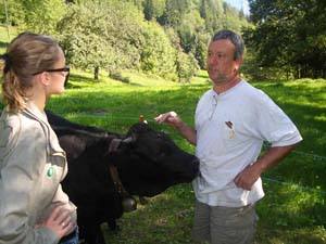 MES VACHES D'HERENS